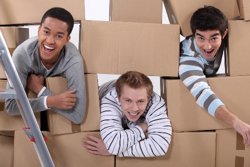 Professional Man and Van team handling waste removal